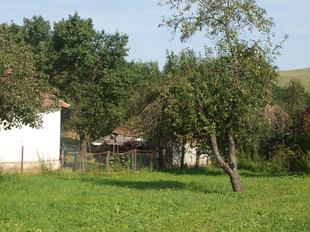 Rozsa Haz Villa Csernely Exterior foto